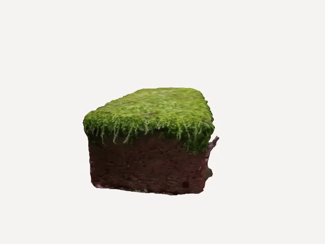 Spinning Moss